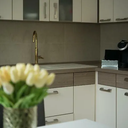 Dorothy 2 Σίοφοκ